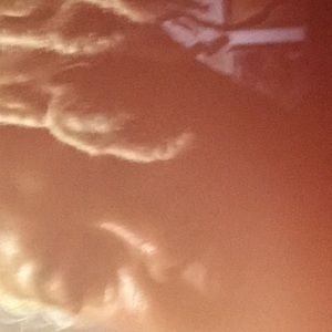 Meet your Posher, Edna